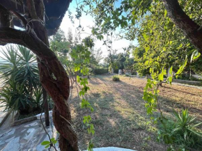 YourLittleMiracle-PanoramicView+FirePit+Garden+BBQ